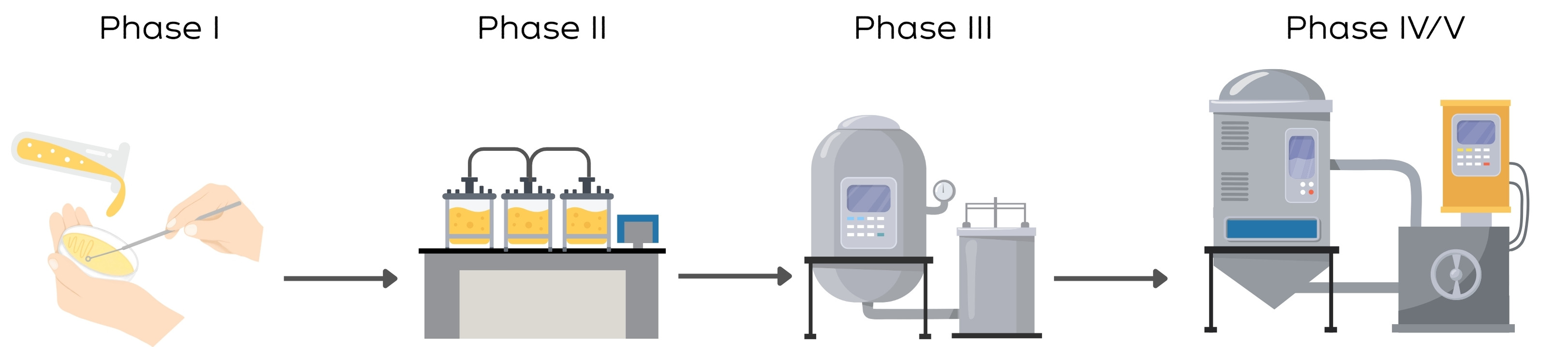 Fermentation process flow diagram showing stages from inoculation to delivery