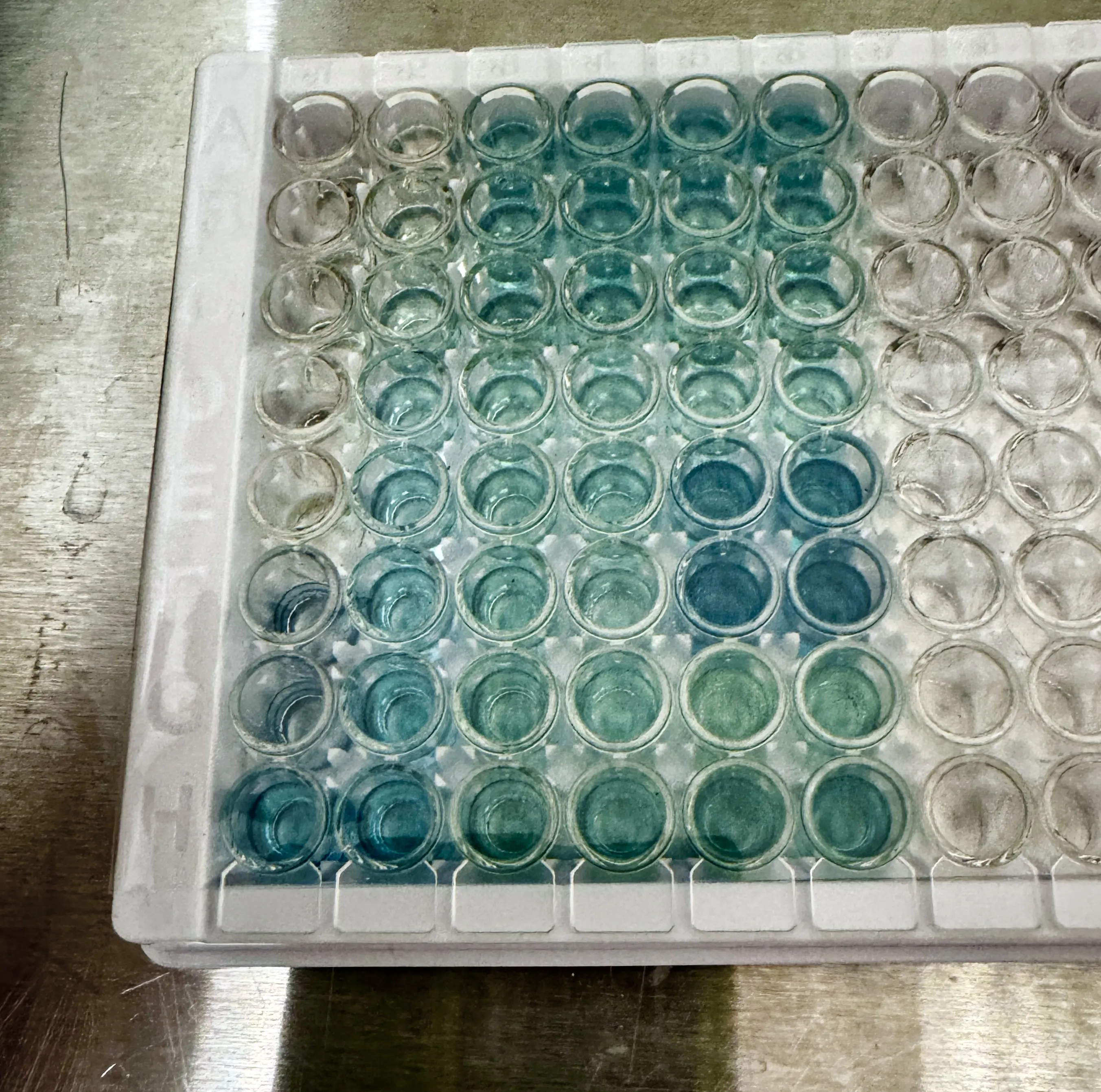 Microwell plate for metabolic assays
