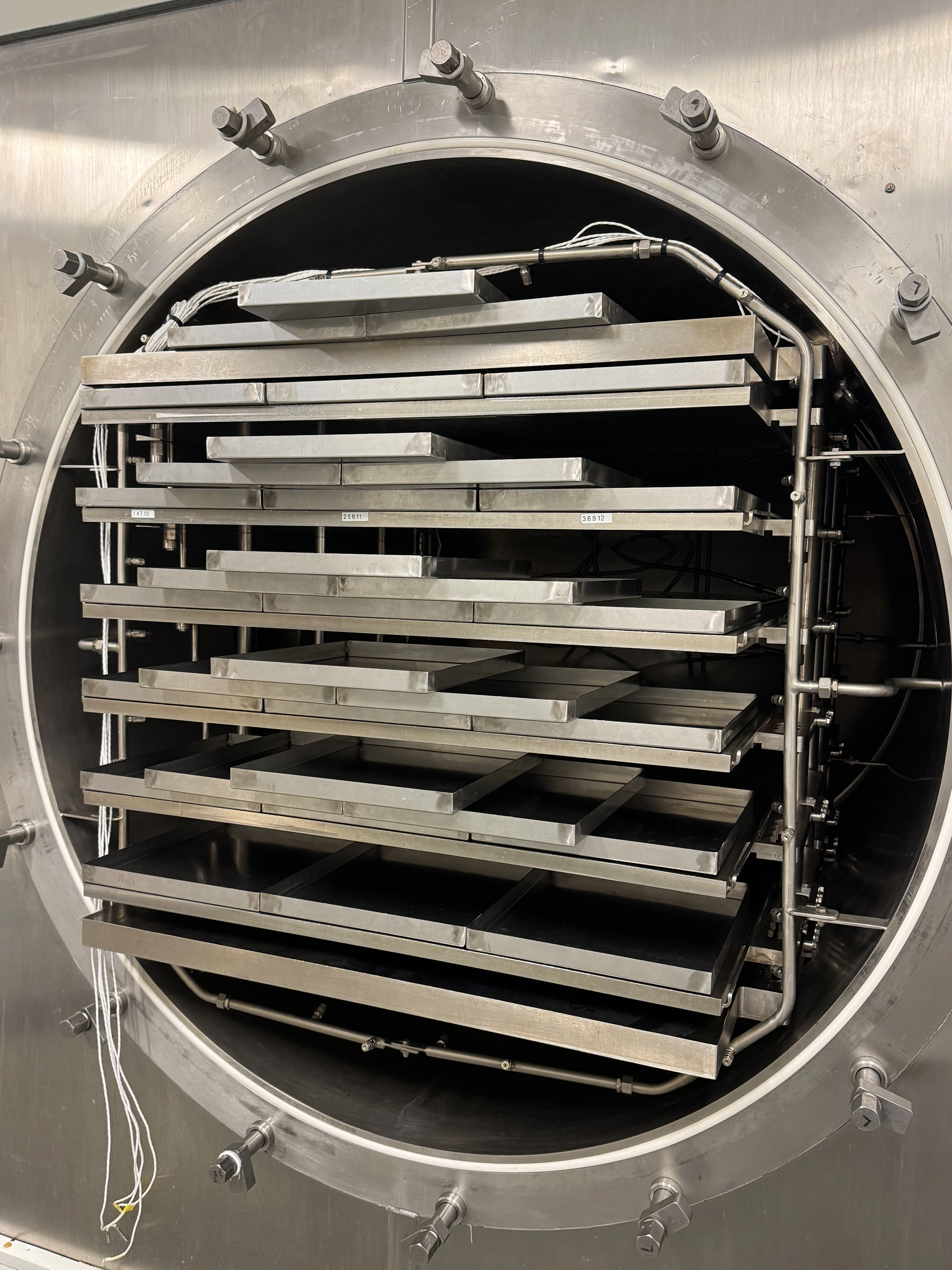 Optimized drying equipment for probiotic production